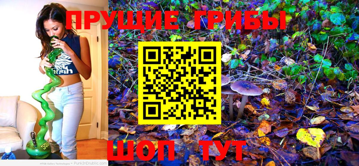 Галлюциногенные грибы MAGIC MUSHROOMS  Вход с VPN  Анапа 